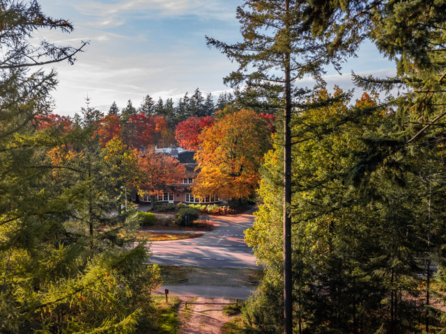 groot-kievitsdal-bossen-drone